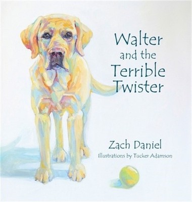 Walter and the Terrible Twister (Hardback or Cased Book)