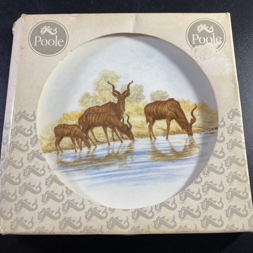 Antilope African Animal Poole 15cm Scenic Plate By Poole - 第 5/6 張圖片