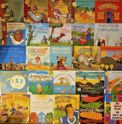 RANDOM MIX Lot of 10 BILINGUAL English & Spanish Children's Picture Books