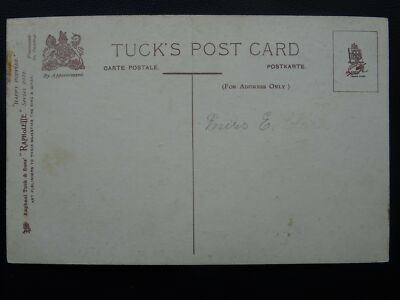 Hund & Katze HAPPY PUPPIES - CHUMS um 1908 Postkarte von Raphael Tuck 8072