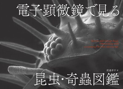 Insects & Strange bugs Observation with a scanning electron microscope Softcover