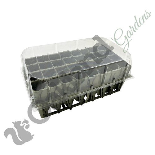 Haxnicks Deep Rootrainer Sets Root Trainer Books Cells Plug Plant Seed Tray - Picture 7 of 7