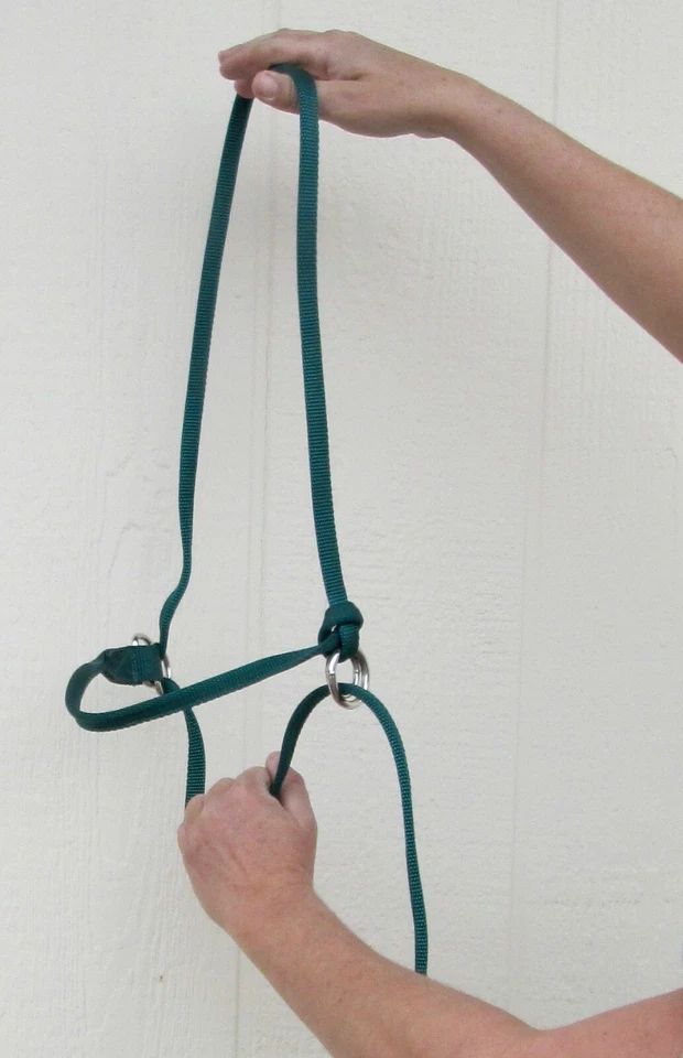 Halter All SMALL Miniature Donkey Mule Adjustable Slip Horse Lead PATTERN USA - Image 3 of 4