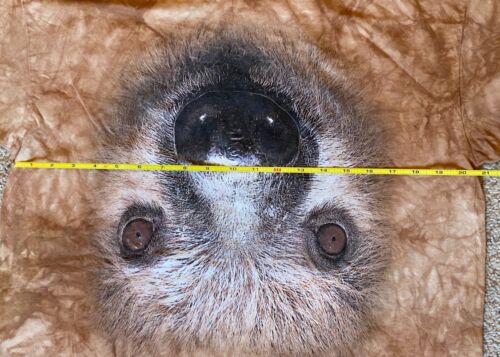The Mountain Sloth T-Shirt Tee Mens Size L Brown Tie Dye Smithsonian Zoo - Picture 4 of 5