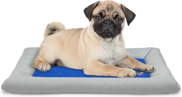Self Cooling Dog Bed (Arf Pets 20" x 30" Pets, Solid Gel Based Self Cooling Mat)