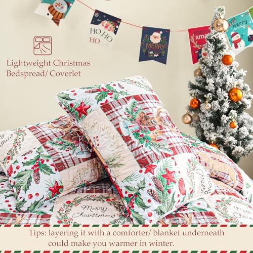 Trapunta Natalizia Taglia, Copriletto Patchwork Rosso Ruggine King Patchwork Rosso - Foto 5 di 6