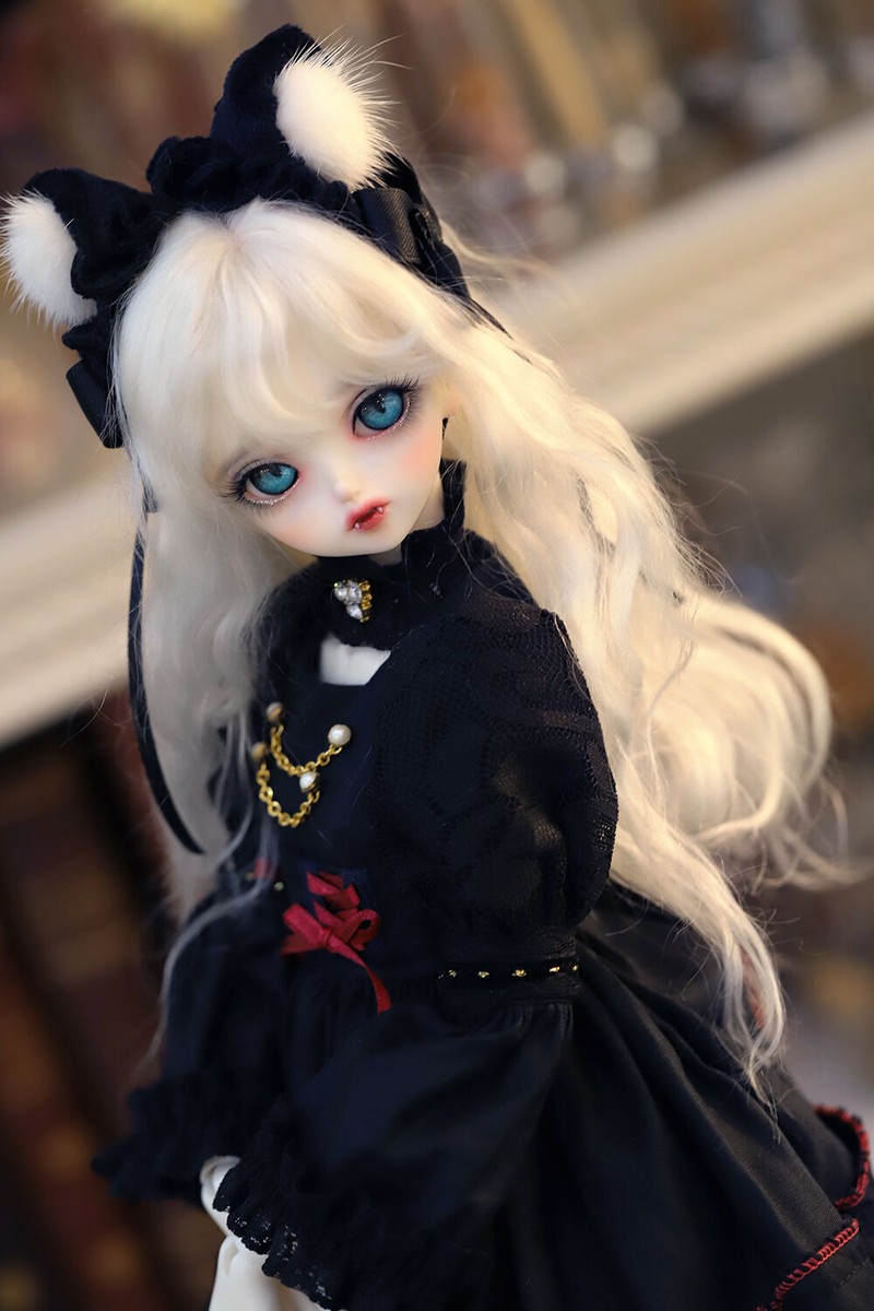 DOLK × Peak's woods Vampire Lady bee Kitten Blue ver. Doll DOLK × Peak's woods Vampire Lady bee Kitten Blue ver. Doll