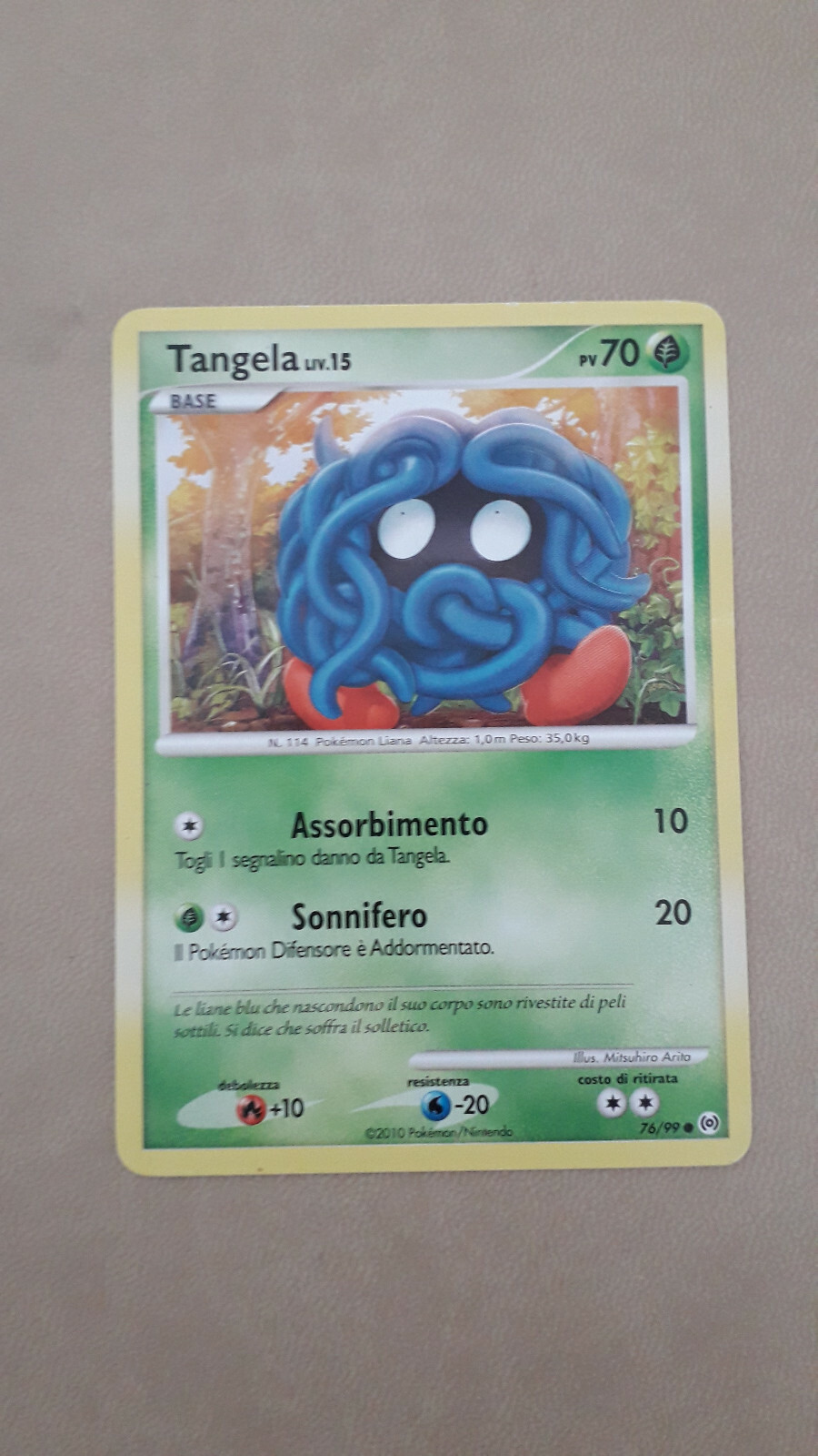 Foto 1 di 2