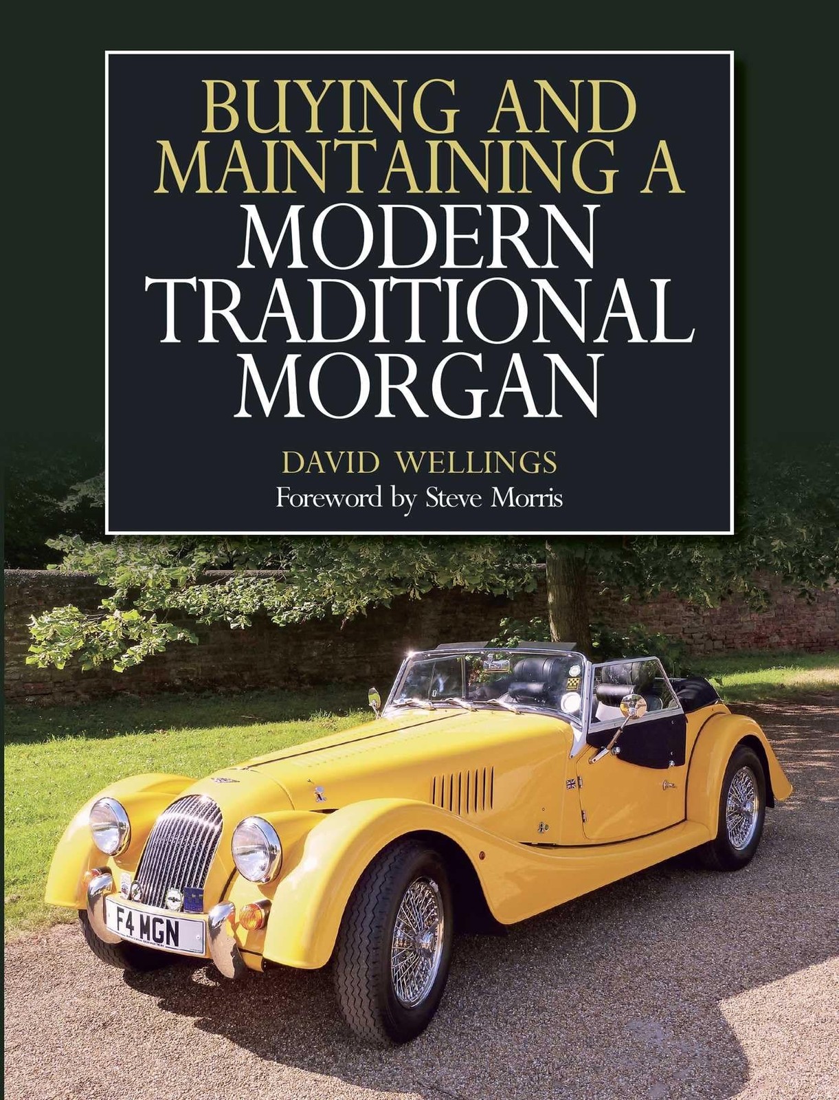 Buying and Maintaining a Modern Traditional Morgan by David Wellings PAPERBACK - Image 6
