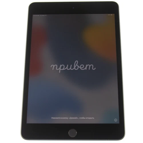 Apple iPad Mini (5th Generation) 256GB for sale - eBay