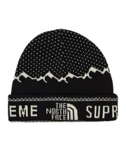 Supreme X The North Face Expedition 