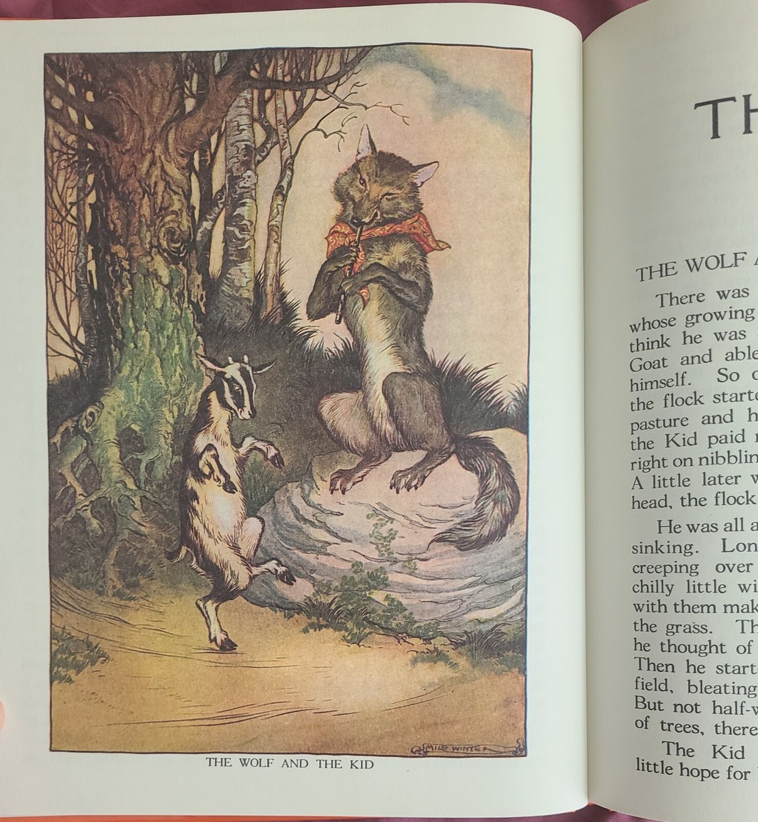 アート・デザイン・音楽 Aesop the book Aesop the book ／ Rizzoli 本