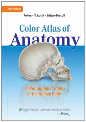 Anatomy A Photographic Atlas by Johannes W Rohen
