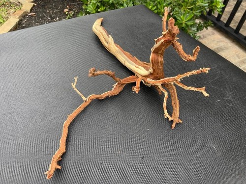 BRANCHY/SPIDER WOOD AQUARIUMS FISH RIPTILES DECORATION PET SUPPLIES ART GARDEN - Picture 8 of 10