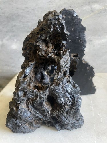 Beautiful Petrified Black Palm Stump Wood Bookends W/ Branch Hole! - Picture 7 of 12