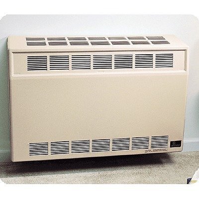 Empire Dv25sgnat Wall Furnace Direct 750mv NG 25k BtuH for sale online |  eBay
