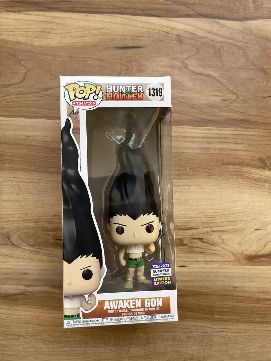 FUNKO POP! ANIME HUNTER X HUNTER AWAKEN GON [2023 SDCC SHARED EXCLUSIVE]