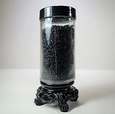 Ants in Jar, Curio Jar, Oddities and Curiosities Decor, Lasius niger