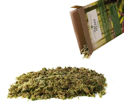 MOOS-DESIGN Terrarium Bodengrund Einstreu Moos wie Sphagnum für Reptilien und Amphibien