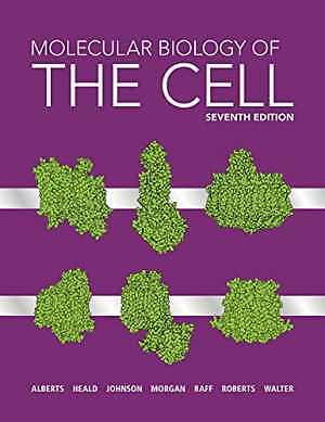 Molecular Biology of the Cell - Hardcover, by Alberts Bruce; Heald - New h