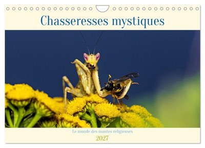 Chasseresses mystiques (Calendrier mural 2027 DIN A4 vertical), CALVENDO calendr