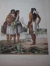 Antique Chromolithographs from Emory's Report "Yuma's", 1857-59