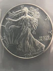 1993 American Silver Eagle Uncirculated Bullion $1 Coin