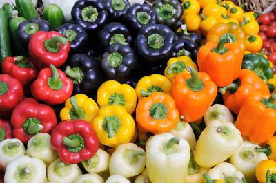 150 RAINBOW BELL PEPPER Sweet Red, Green, Yellow, Orange, Purple, Brown, & White