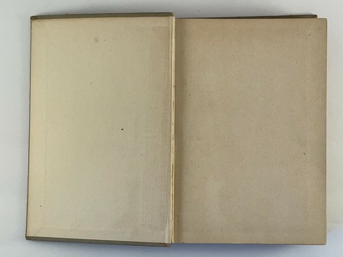 Lagerfeuer Mädchen Bergsteigen Irene Elliott Benson 1918 Hardcover Erstausgabe - Bild 3 von 12