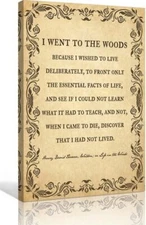 I Went To The Woods Poem Wall Art Henry David Thoreau Quote Poster Canvas