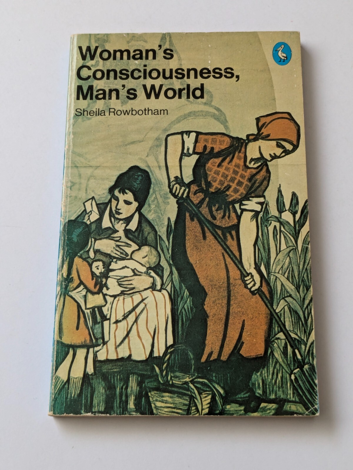 Sheila Rowbotham Woman's Consciousness Man's World 1976 Pelican paperback