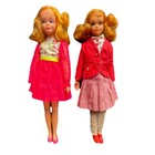 Vintage skipper barbie dolls — photo 1