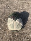 POLO RALPH LAUREN “Outdoorsman” Wild River Camo Trucker Hat — photo 3