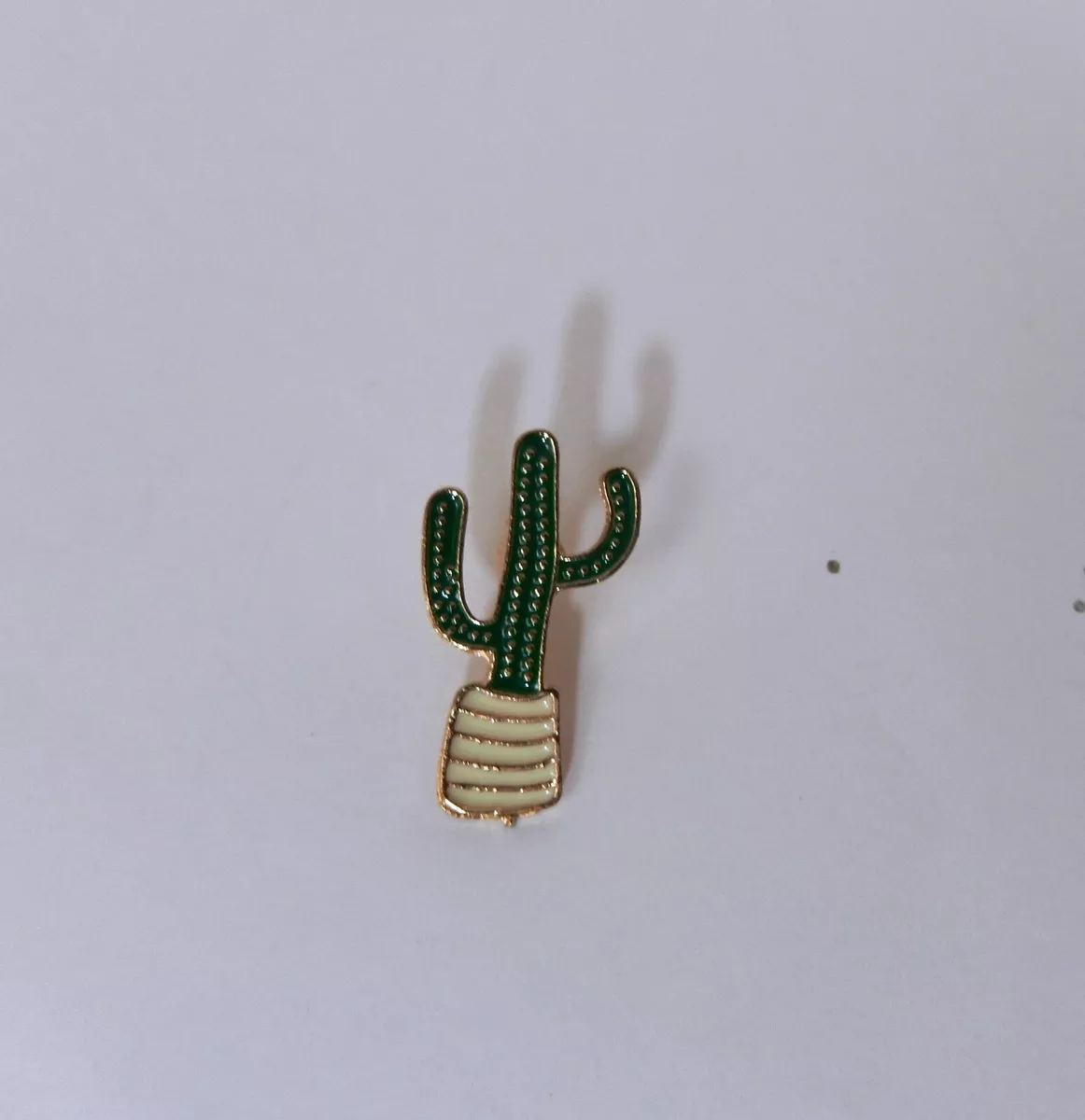 Pin on cactus