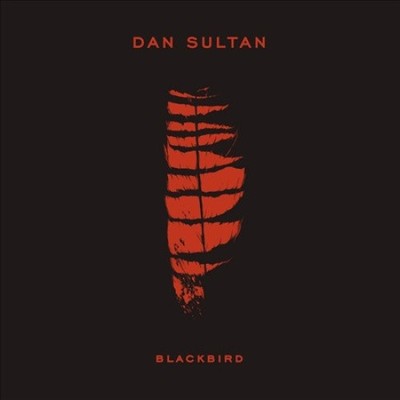 Blackbird by Dan Sultan