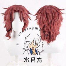 Noriaki Kakyoin Stardust Crusaders Cartoon Cosplay Wig Heat Resistant Wigs