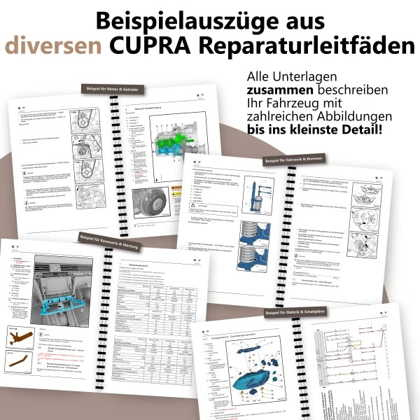 Bild 3 von 11