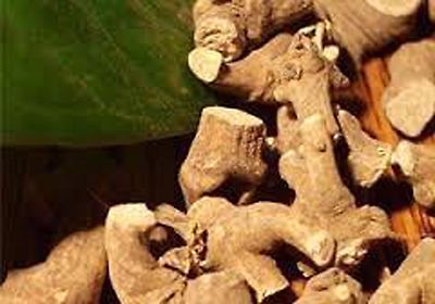 Pippalimool Roots, Piper Longum Indian Raw & Whole Herbs Free Ship