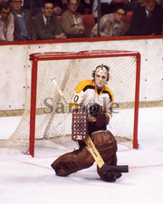 Boston Bruins Goalie Gerry Cheevers Game Action Color 8 X 10 Photo Picture