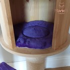 Bild 19 von 20