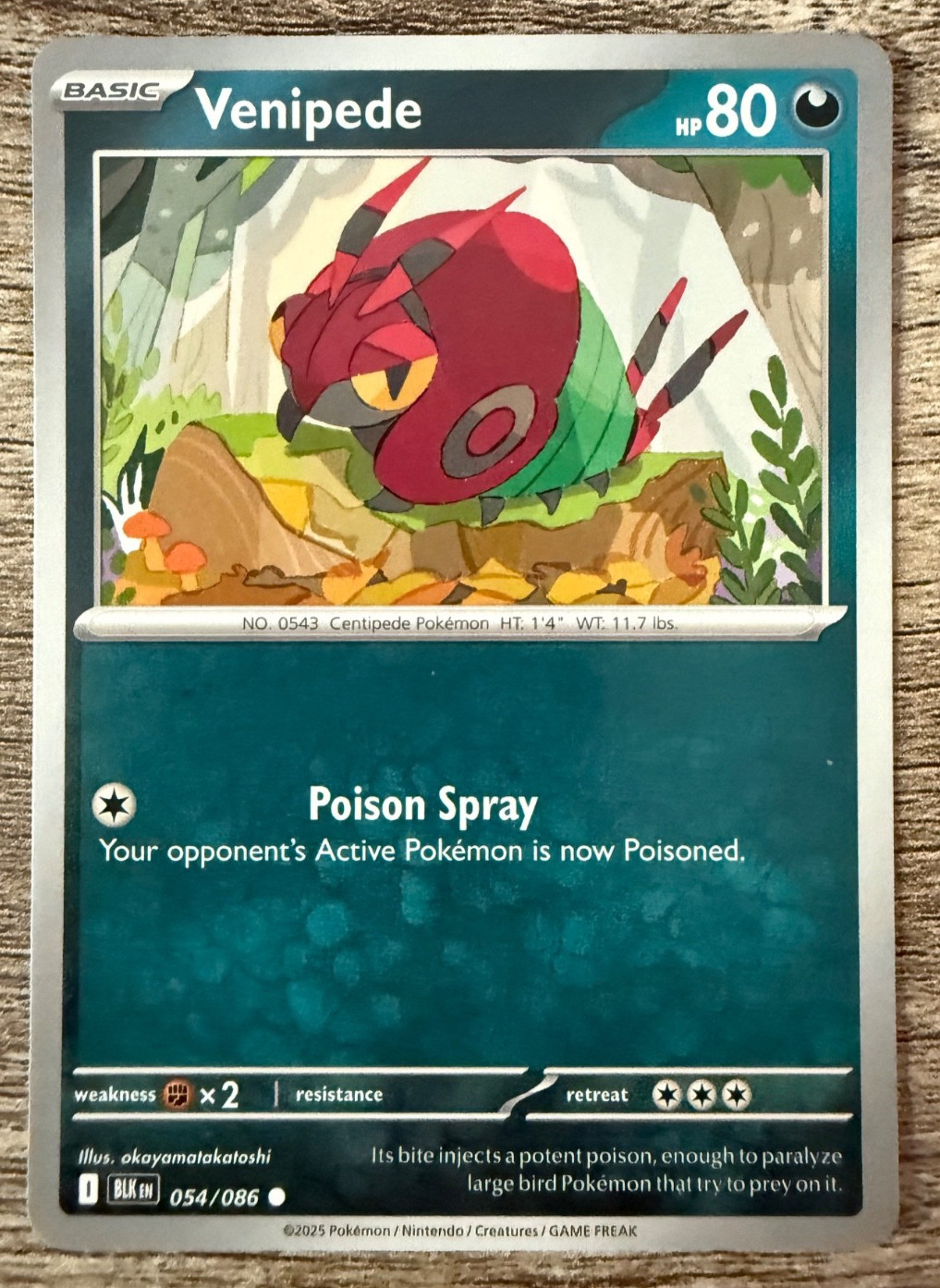 Pokemon Scarlet & Violet Singles - Black Bolt - Choose Your Card!