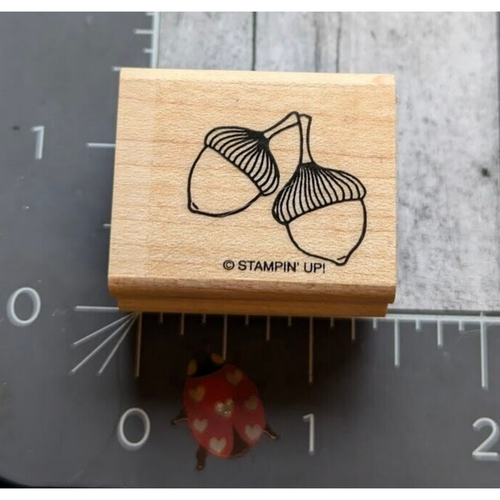 Stampin' Up! Acorns Nuts Pair Fall Harvest Rubber Stamp Wood #G13 | eBay