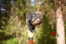 Hand carved dog handle design wooden walking stick for men women walking