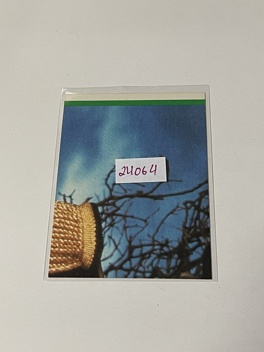 マイケルジャクソン 転写シール　1984年 1984 Michael Jackson Sticker **024064 | eBay