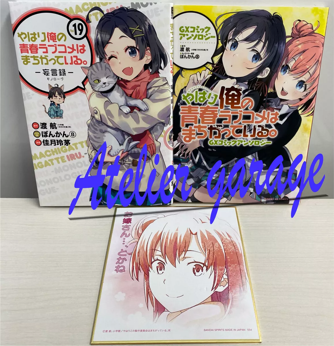 What Makes the Oregairu Novel So Relatable? –