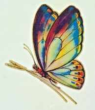 Original Vintage Butterfly Small Iron On Transfer