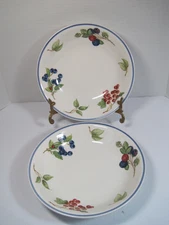 2 Villeroy & Boch Cottage Country Collection Pasta Bowl Cherries Blueberries 9"