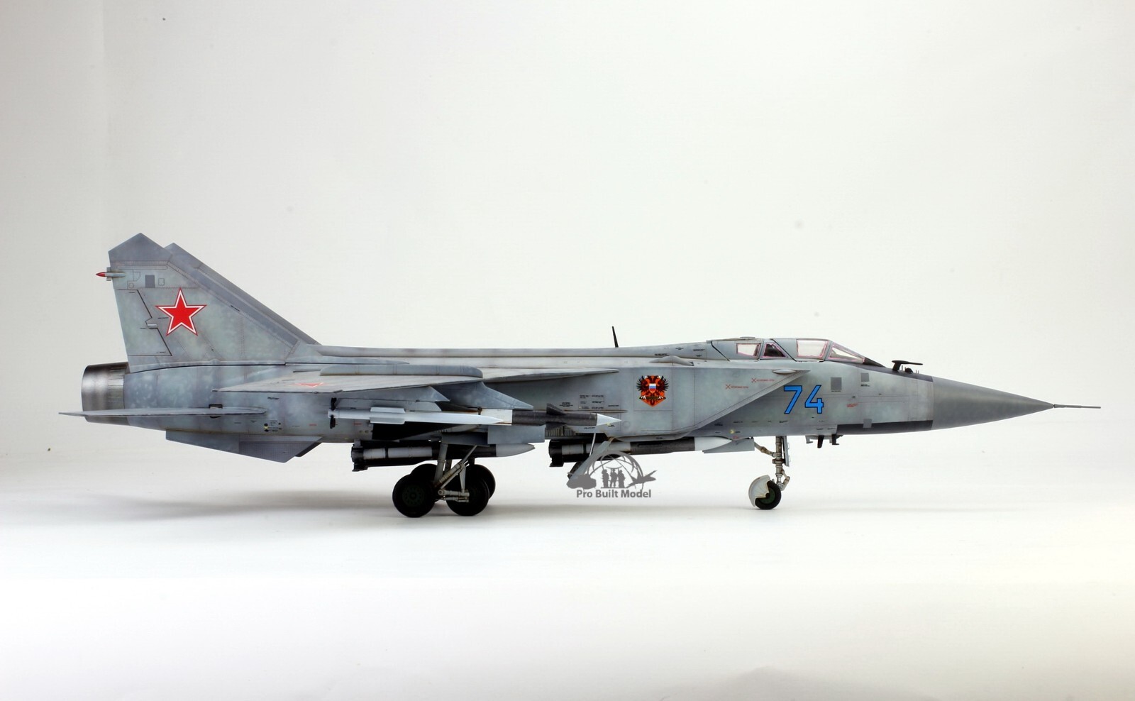 PreSale Russia MiG-31 Foxhound 1:48 Pro Built Model