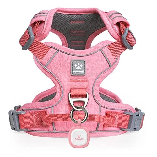 Dog Harness for Small Dogs S (Bigger than Normal (Chest: 17"-22'' )) Mimi Pink