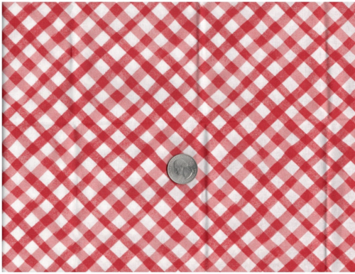 Remnant of Fabric 9X21 for Crafts, Quilting, Red and White Checks